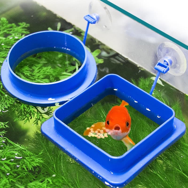 Aquário Alimentador De Peixes Anel Flutuante Planta De Água De Comida 1Pc