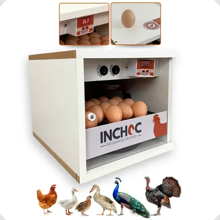 Chocadeira Inchoc Automática 20 a 28 Ovos Profissional Cor Cinza 220 V
