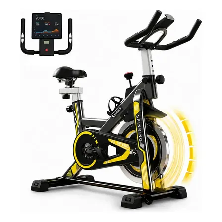 Bicicleta Spinning Romantic Crown Preto Roda Inércia 10kg