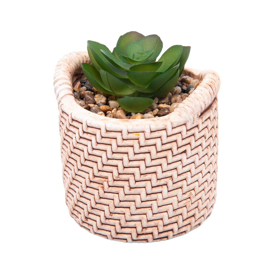 WOLFF - Cachepot de Cerâmica com Suculenta Palha 7,5cm x 7,5cm X 9,5cm