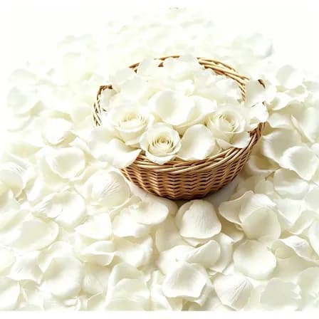 2000 Petalas De Rosas Artificiais Para Decoração Casamento Branco